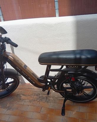 bici elettrica 