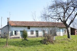 Rustico con terreno