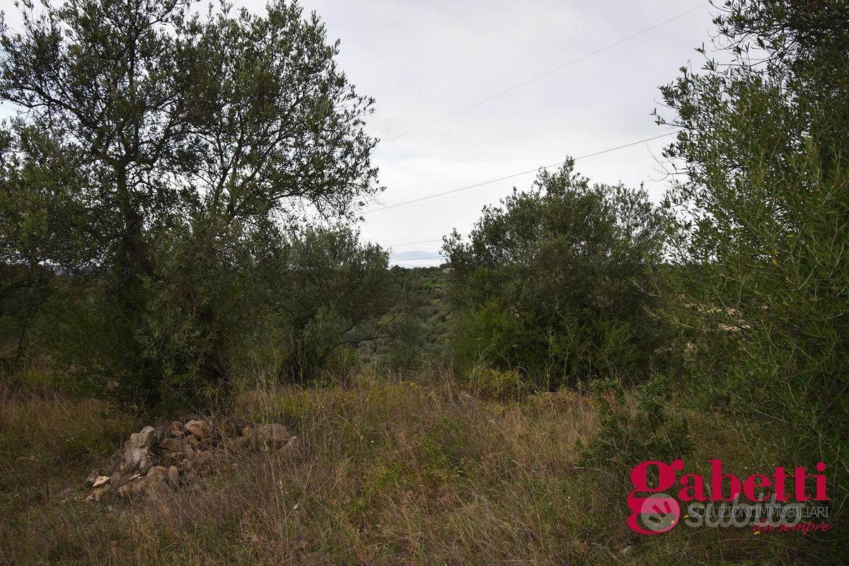 Terreno Agricolo Sorso [cod. rif6000745VRG] - Vista 4