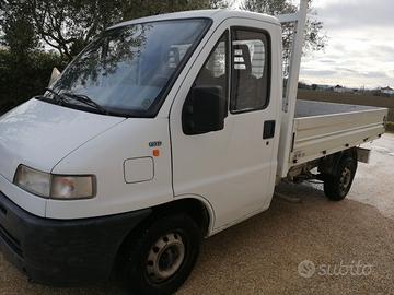 DUCATO 19TD cassonato