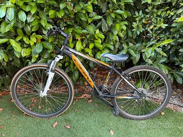 BICICLETTA MOUNTAIN BIKE CARRARO