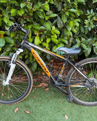 BICICLETTA MOUNTAIN BIKE CARRARO