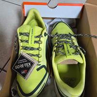 Nike Pegasus 41 Gtx 42.5