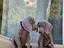 Immagine 6