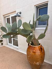 Gestore per Struttura ricettiva-ristorativa