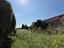 Immagine 24