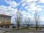 Immagine 6