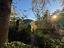 Immagine 29