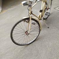 bici bacchetta 