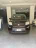 fiat-panda-1-0-firefly-s-s-hybrid-sport