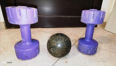 attrezzi da palestra, manubri, sfera, estensore. 