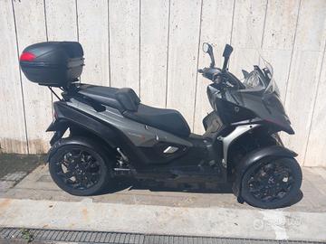 Qooder Quadro 4 - 2016