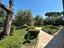 Immagine 12