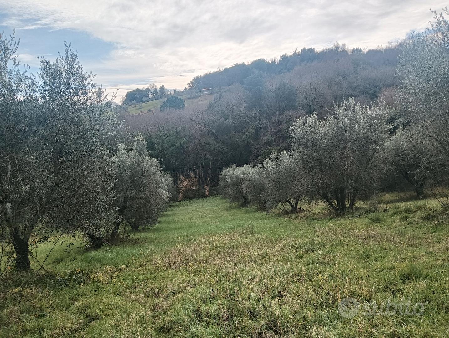 Vendita terreno - Vista 2