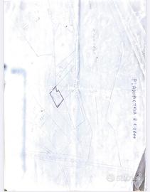 Terreno agricolo di mq 3000