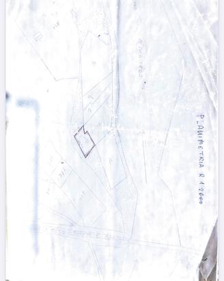 Terreno agricolo di mq 3000