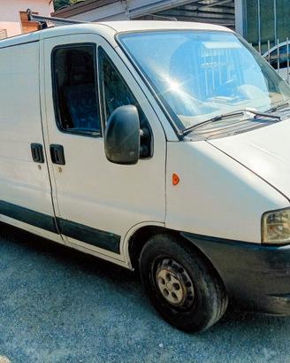 Furgone Fiat Ducato 