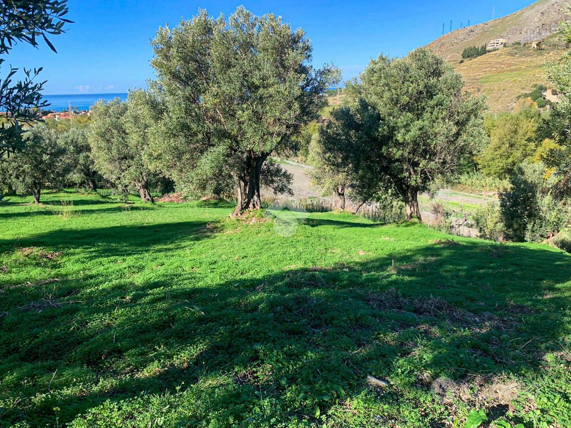 TER. AGRICOLO A AMANTEA - Vista 4