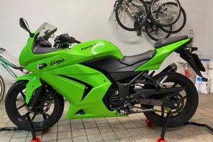 Kawasaki Ninja 250R - 2009