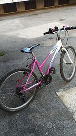 Bicicletta 8/10 anni