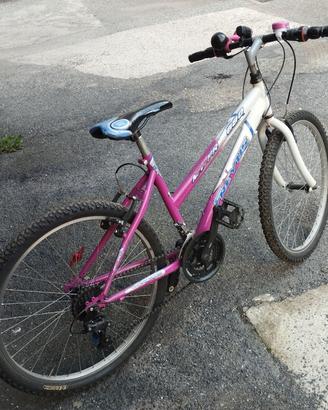 Bicicletta 8/10 anni