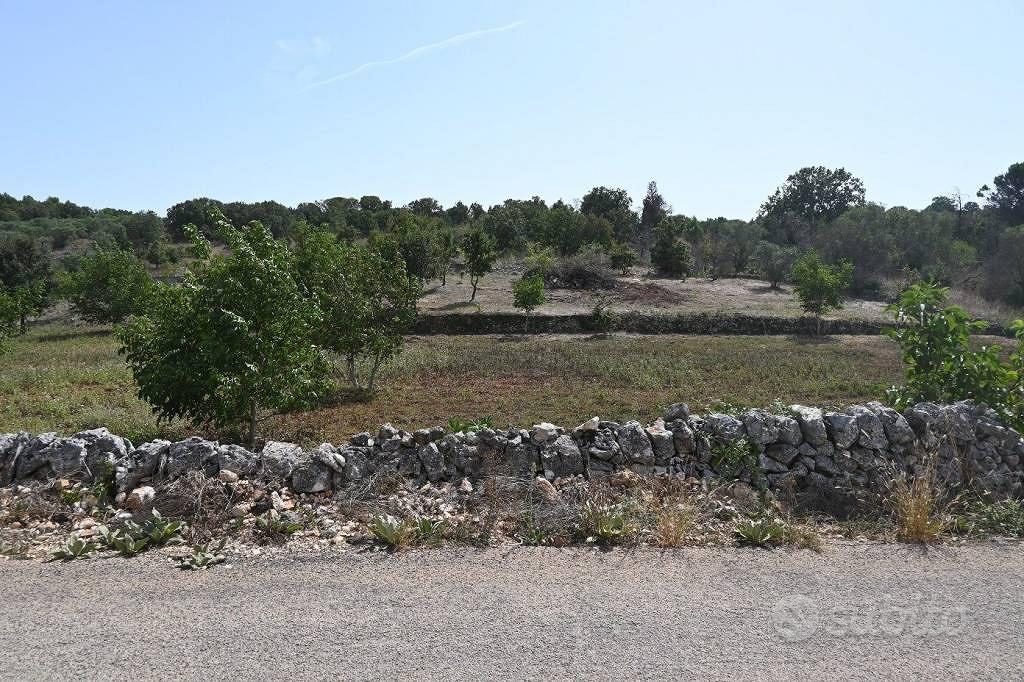 Terreno di 13800 m² a Alberobello - Vista 2