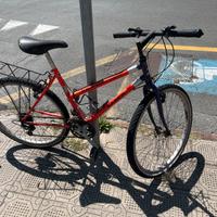 Bicicletta
