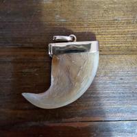 unghia leone originale con pendente oro 18k