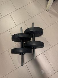 Pesi 10 kg + altri dischi