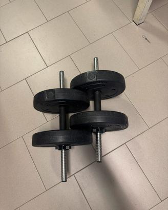 Pesi 10 kg + altri dischi