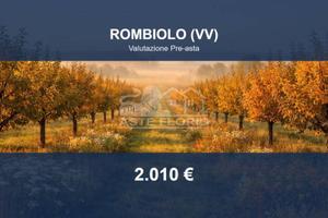 Immobile in asta di 3870 m² a Rombiolo