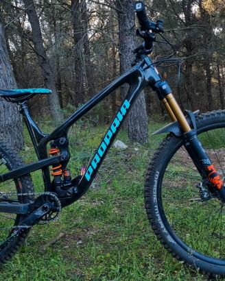 Propain Tyee CF 29