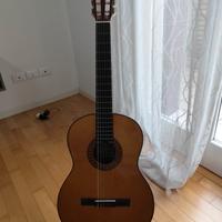 Chitarra mod. Privada