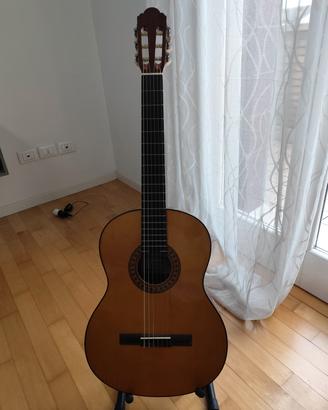 Chitarra mod. Privada