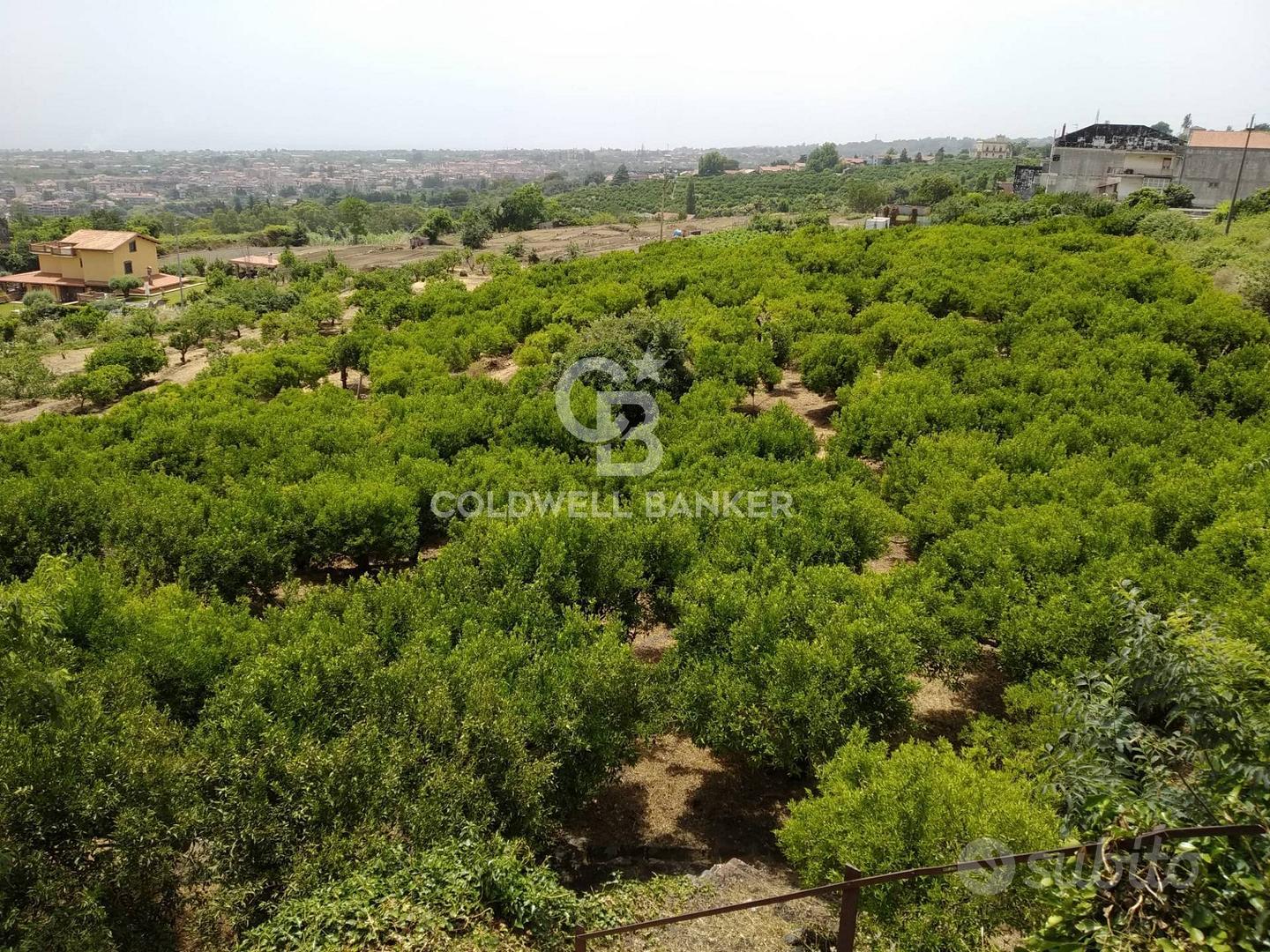 Terreno - Mascali - Vista 2