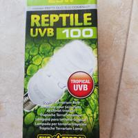 uvb lampada rettile tartaruga