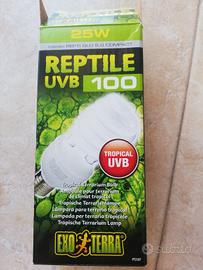 uvb lampada rettile tartaruga