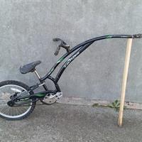 cammellino mezza bici 