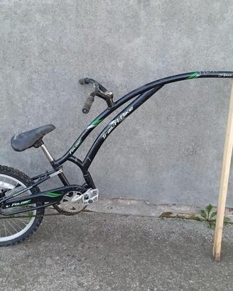 cammellino mezza bici 