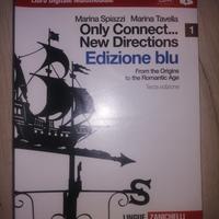 Only Connect. New Directions