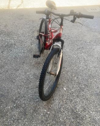 Bicicletta