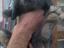 Immagine 6