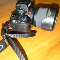 
Sony A7 III + 28-70mm f/3.5-5.6.