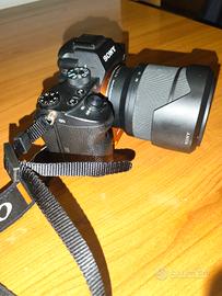 
Sony A7 III + 28-70mm f/3.5-5.6.