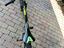 Immagine 3