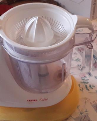 Robot da cucina " TEFAL KALEO"