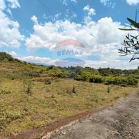 Terreno - Santa Venerina