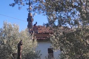 Caseggiato o porzione con terreno