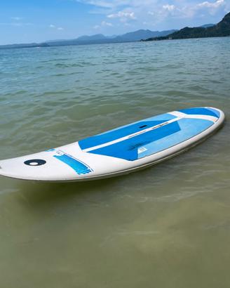 Tavola Windsurf Bic Beach 225
