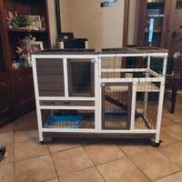 gabbia per conigli, coniglietti nani e cincillà 